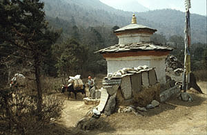 Dengboche 07 groe stupa P 0300