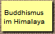 Buddhismus
im Himalaya
