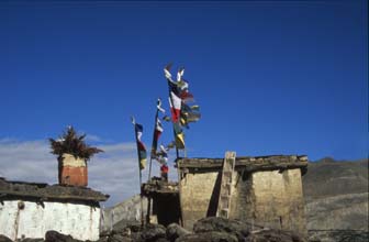 Purang 8 Annapurna nepal h220