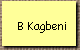 B Kagbeni